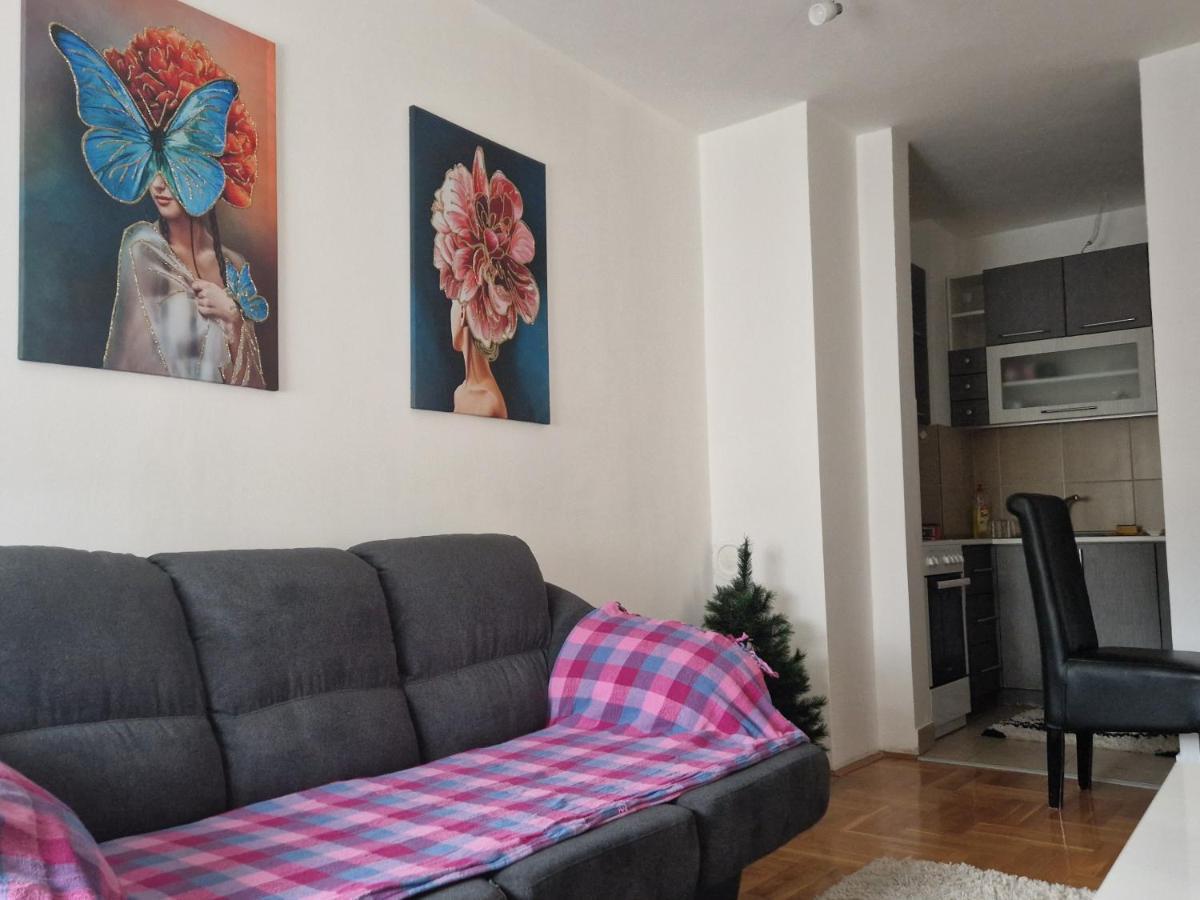 Centar S Apartman Ni Kültér fotó